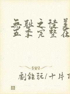 无耻之徒美版第五季完整在线观看