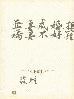 夺妻成婚,拒爱娇妻不好宠免费阅读