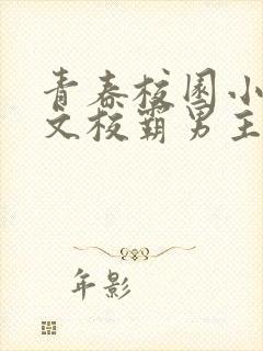 青春校园小说甜文校霸男主
