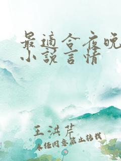 最适合夜晚看的小说言情