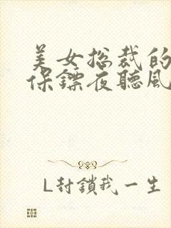 美女总裁的贴身保镖夜听风
