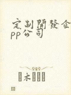 定制开发企业app公司