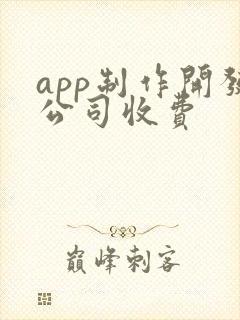 app制作开发公司收费