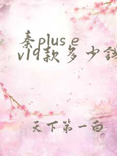 秦plus ev19款多少钱