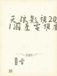 天狼影视2021国产电视剧