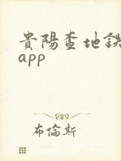 贵阳查地铁实时app