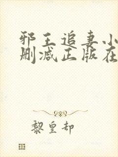 邪王追妻小说无删减正版在线阅读