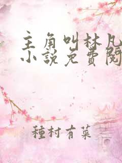 主角叫林凡叶惜小说免费阅读