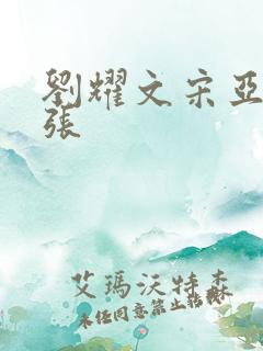 刘耀文宋亚轩扩张