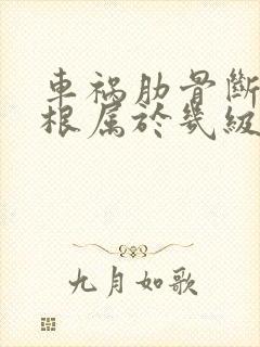 车祸肋骨断了六根属于几级伤残 车祸肋骨断了六根属于几级伤残