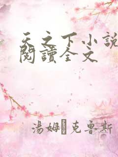 天之下小说在线阅读全文