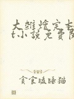 大杂烩完本txt小说免费阅读