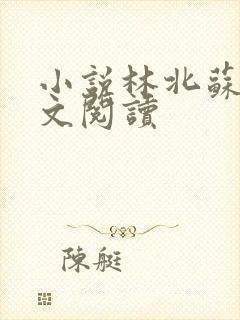 小说林北苏婉全文阅读