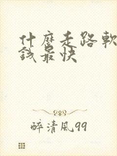 什么走路软件赚钱最快