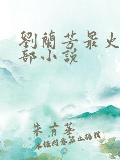 刘兰芳最火的十部小说
