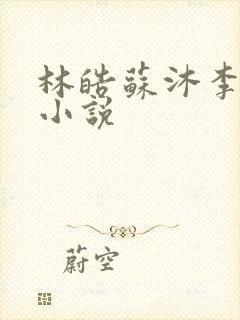 林皓苏沐李静怡小说