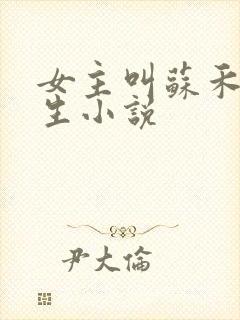 女主叫苏禾的重生小说