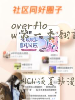 overflow第一季翻译漫画：结局+番外