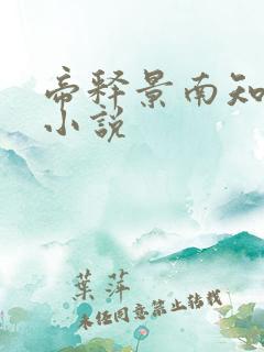 帝释景南知意的小说