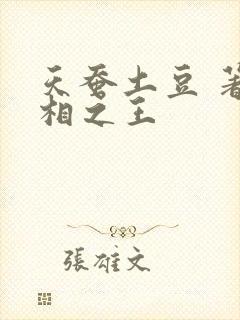 天蚕土豆 著万相之王