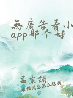 无广告看小说的app哪个好