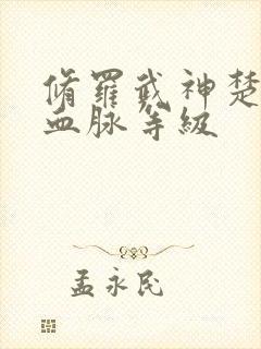 修罗武神楚枫的血脉等级