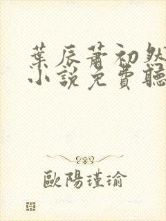 叶辰萧初然有声小说免费听