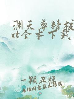 渊天尊精校版txt全本下载