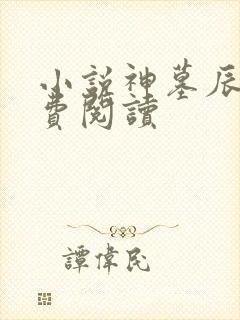 小说神墓辰东免费阅读