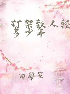 打架致人轻伤判多少年