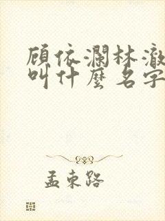 顾依澜林澈小说叫什么名字