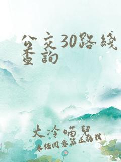 公交30路线路查询