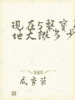 现在5系宝马落地大概多少钱
