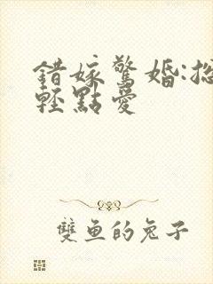 错嫁惊婚:总裁轻点爱