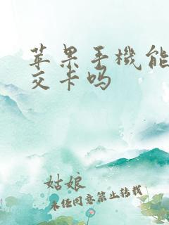苹果手机能充公交卡吗