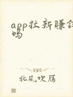 app拉新赚钱吗 app拉新赚钱吗