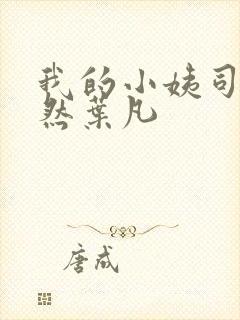 我的小姨司空嫣然叶凡