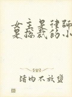 女主是律师男主是总裁的小说