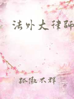 法外大律师小说
