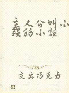 主人公叫小可志强的小说
