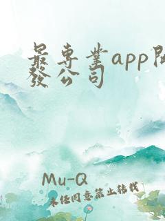 最专业app开发公司