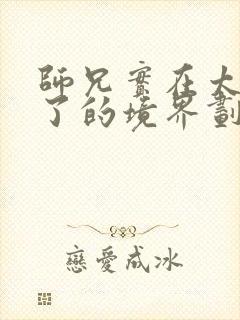 师兄实在太稳健了的境界划分