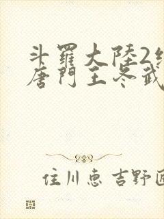 斗罗大陆2绝世唐门王冬武魂