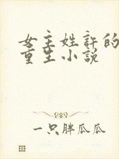 女主姓许的古代重生小说