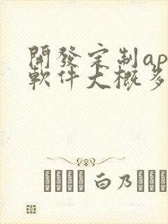 开发定制app软件大概多少钱