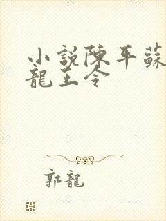 小说陈平苏雨琪龙王令