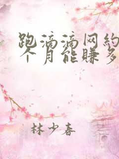 跑滴滴网约车一个月能赚多少钱