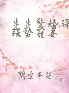 步步惊婚,琛少强势宠妻 步步惊婚,琛少强势宠妻