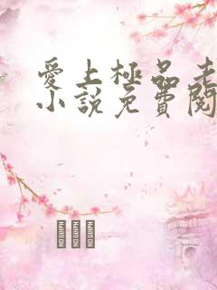 爱上极品老板娘小说免费阅读