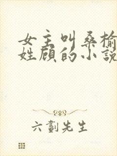 女主叫桑榆男主姓顾的小说